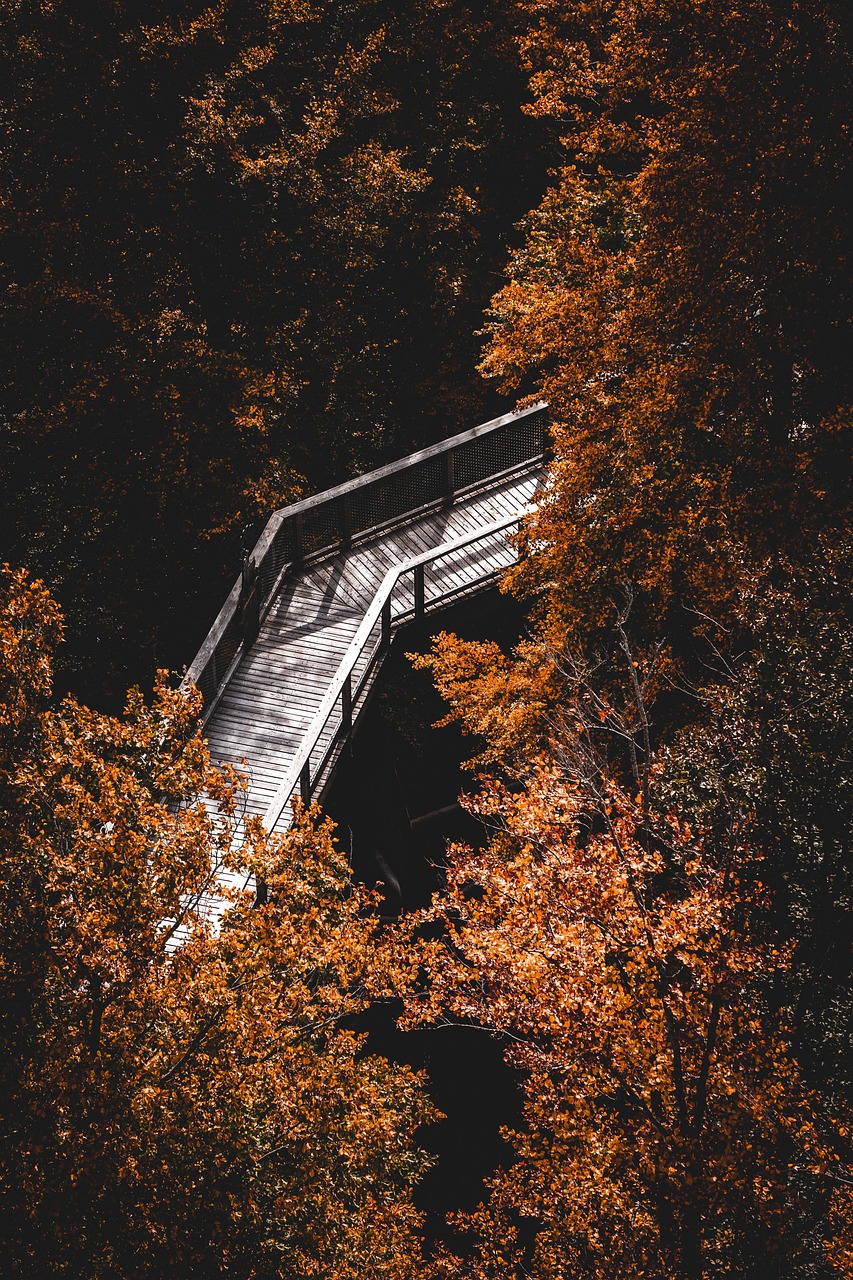 einsamkeit ist ein gefühl, das viele menschen erleben. entdecken sie hier ursachen, auswirkungen und wege, um mit einsamkeit umzugehen und wieder mehr lebensfreude zu finden.