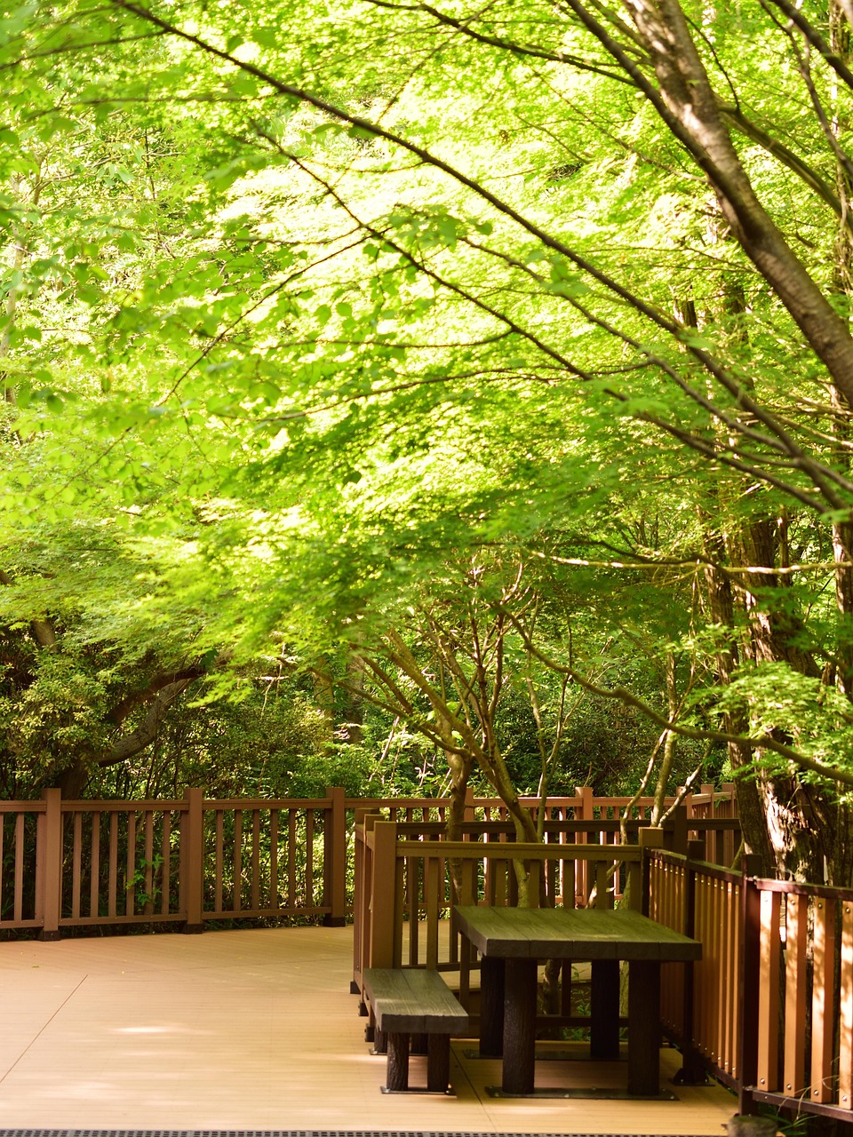 entdecken sie die welt des umami – der fünfte geschmackssinn, der speisen einzigartig würzig und herzhaft macht. erfahren sie mehr über die herkunft, verwendung und bedeutung von umami in der modernen küche.